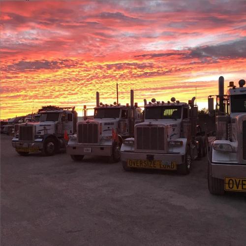 sunset trucks